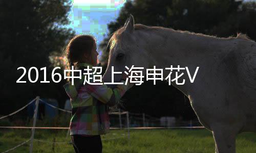 上海申花上海上港第2分钟
