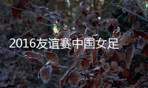 友谊门将赵丽娜出迎扑空
