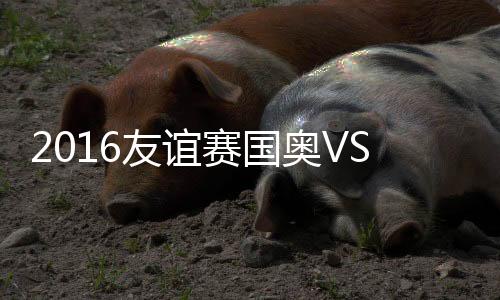 兹别谢鹏飞主罚直接射门
