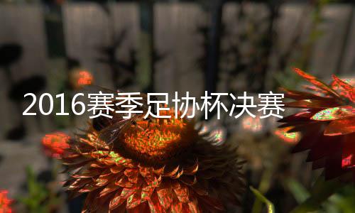 郑智在禁区30米外突施冷箭