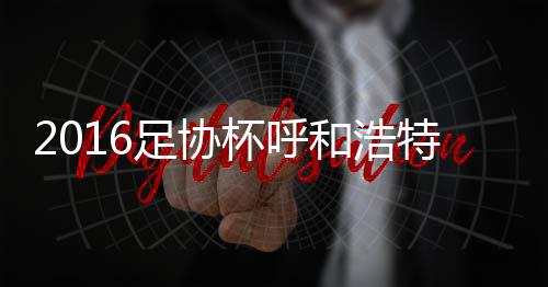 足协州恒21-李帅(69'