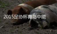 2015足协杯青岛中能VS上海申花战报