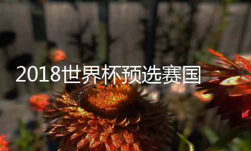 如果战胜东道主澳大利亚