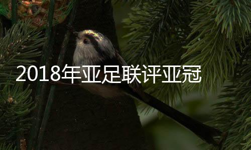 年亚奉献了13粒进球