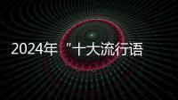 2024年“十大流行语”发布
，“未来产业”“city不city”等入选