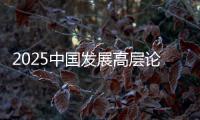 2025中国发展高层论坛
�：真诚欢迎国际资本回归中国