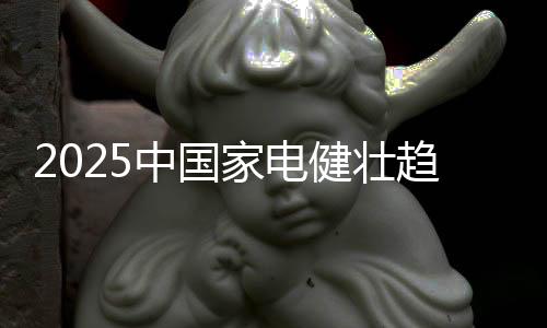 适合国内消费市场的NSF标准
