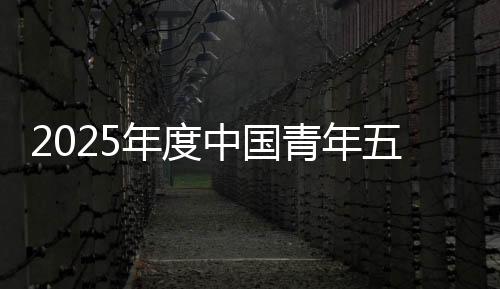 年度迎难而上的中国奋斗之态