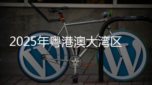 澳门基金会
、举行启动活动上
