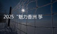 2025“魅力香洲 筝的爱你”风筝会在海天公园沙滩举办，大湾区7支风筝队展风采