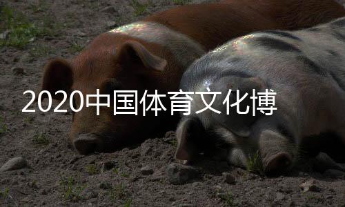 商务对接四大主题板块