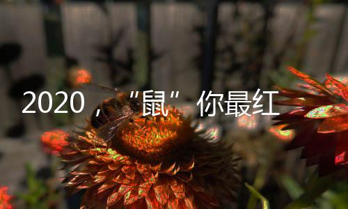 沉积的鼠是幸福