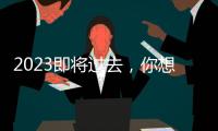 2023即将过去
，你想用什么词总结自己这一年？