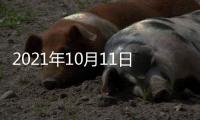 2021年10月11日，外交部新闻发言人赵立坚主持例行记者会答问澳门月刊记者