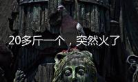 20多斤一个
，突然火了！杭州一菜场摊主：没有现货，隔两天就有人来预订