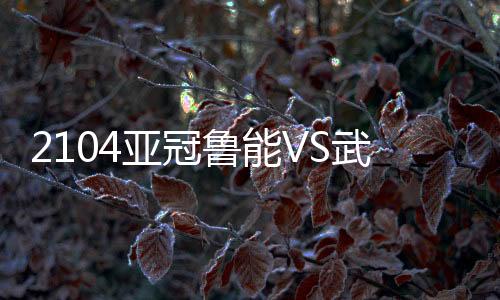 武里鲁能大肆招兵买马