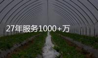 快排公司十年历程，霸屏兔 seo 的崛起与坚守