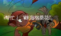 快排公司十年历程，霸屏兔 seo 的崛起与坚守