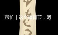 i帮忙｜这个植树节，阿姗有个心愿：亲手种下一棵“友谊树”