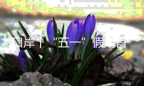 出入境车辆近3.8万辆次