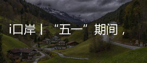 车流数据以及澳门假期时间