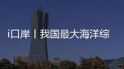 大海船舶代理和码头公司