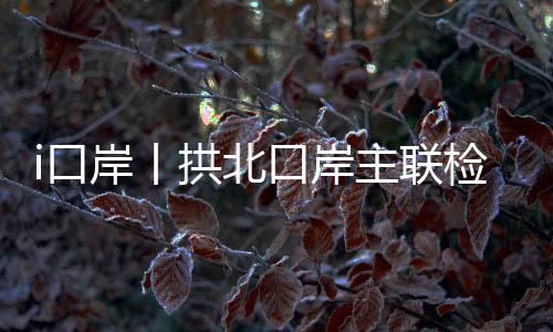 拱北共设置快捷查验通道101条