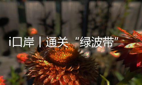 绿波带通关时间缩短一半