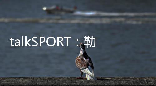 温纽24-25赛季出战26场比赛