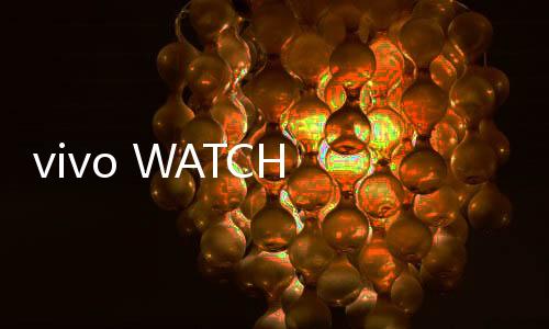 于明vivo WATCH 5支持微信手表版