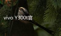 vivo Y300t官宣3月31日发布	：超长续航
，超强性能